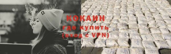 хмурый Алзамай