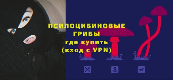 хмурый Алзамай