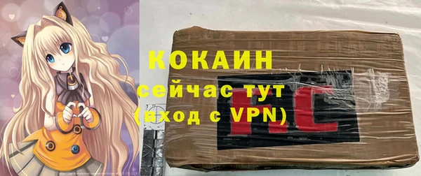 твердый Алексин