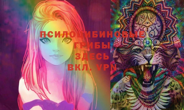 хмурый Алзамай
