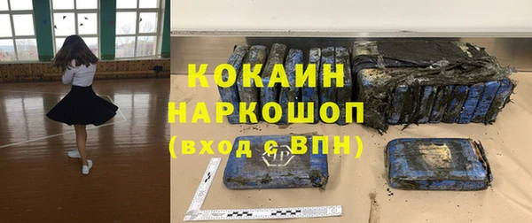 хмурый Алзамай
