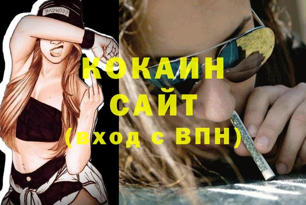 хмурый Алзамай