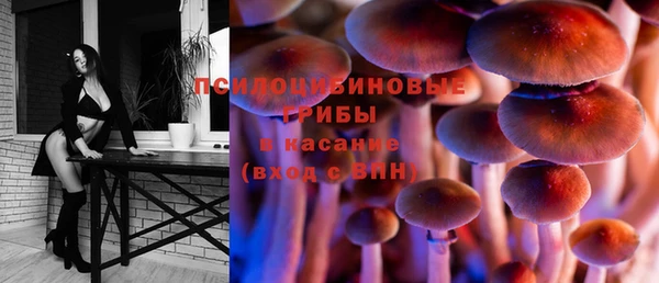 хмурый Алзамай