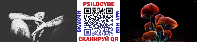 Псилоцибиновые грибы мицелий Мураши